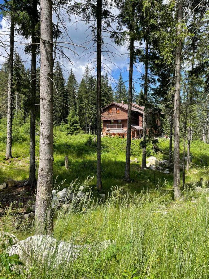 Villa Aspen ديمانوفْشكا دولِنا المظهر الخارجي الصورة