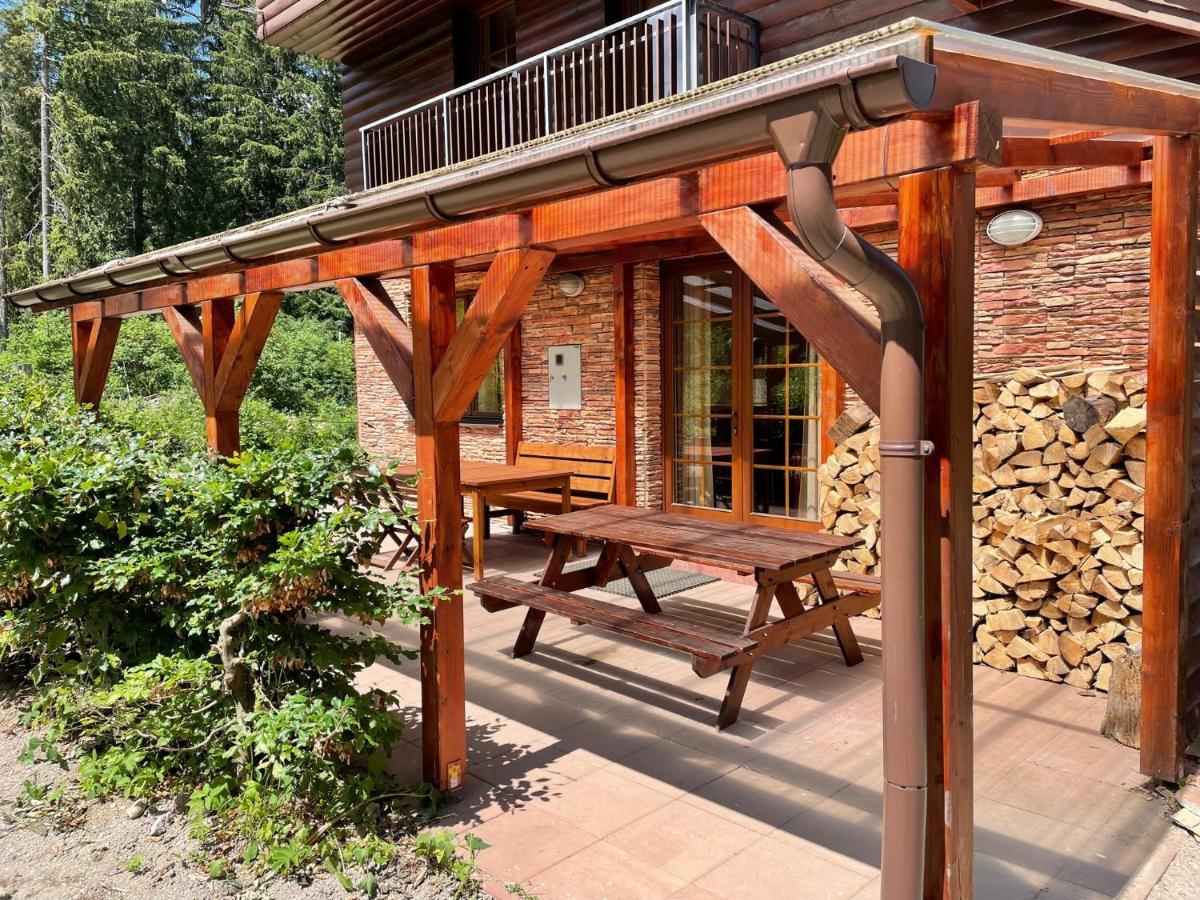 Villa Aspen ديمانوفْشكا دولِنا المظهر الخارجي الصورة