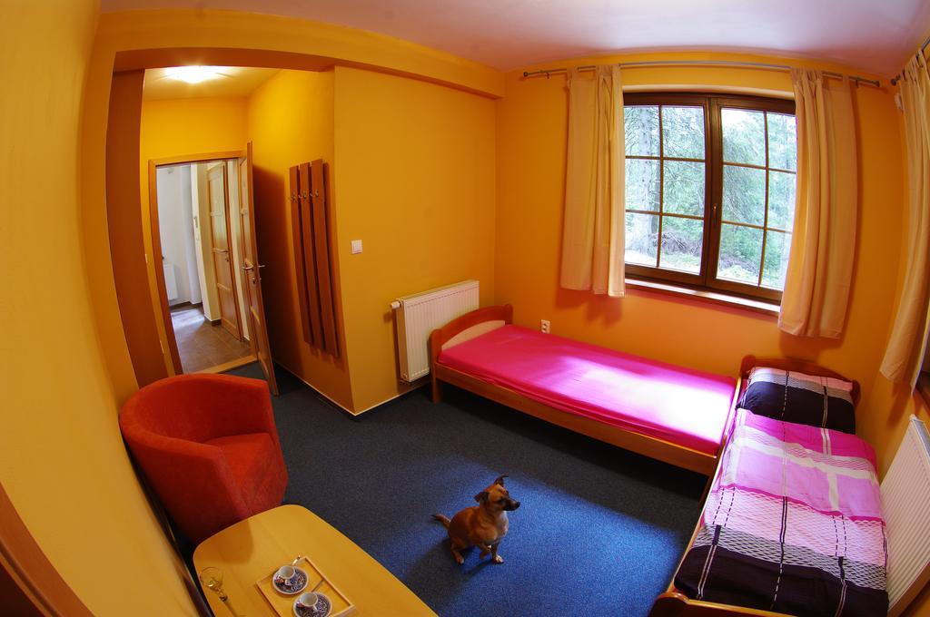 Villa Aspen ديمانوفْشكا دولِنا الغرفة الصورة