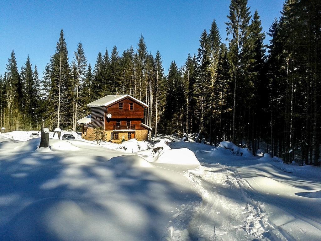 Villa Aspen ديمانوفْشكا دولِنا الغرفة الصورة